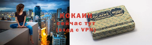 PSILOCYBIN Кодинск