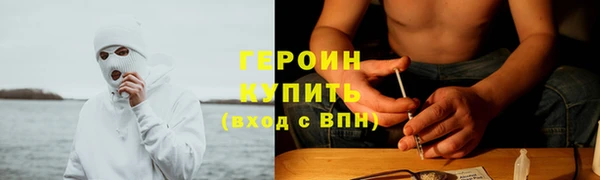 PSILOCYBIN Кодинск