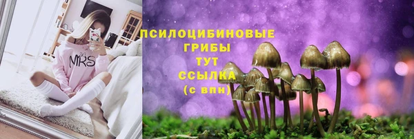 первитин Козельск